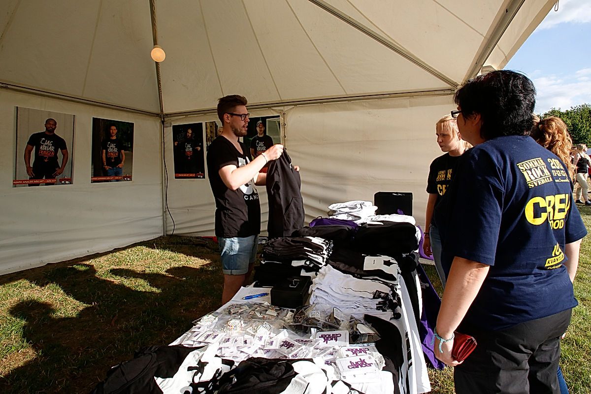 Publik - 2013 - SommarRock Svedala