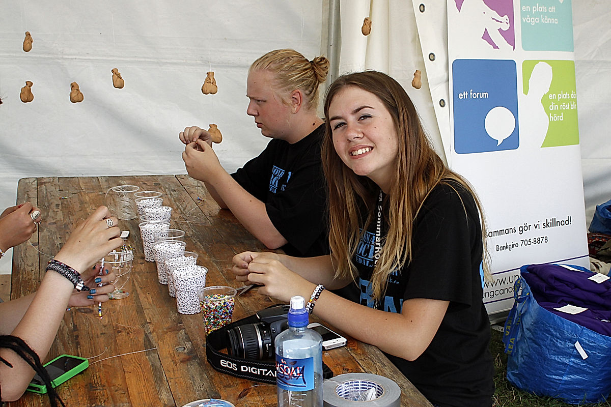 Funktionärer - 2013 - SommarRock Svedala