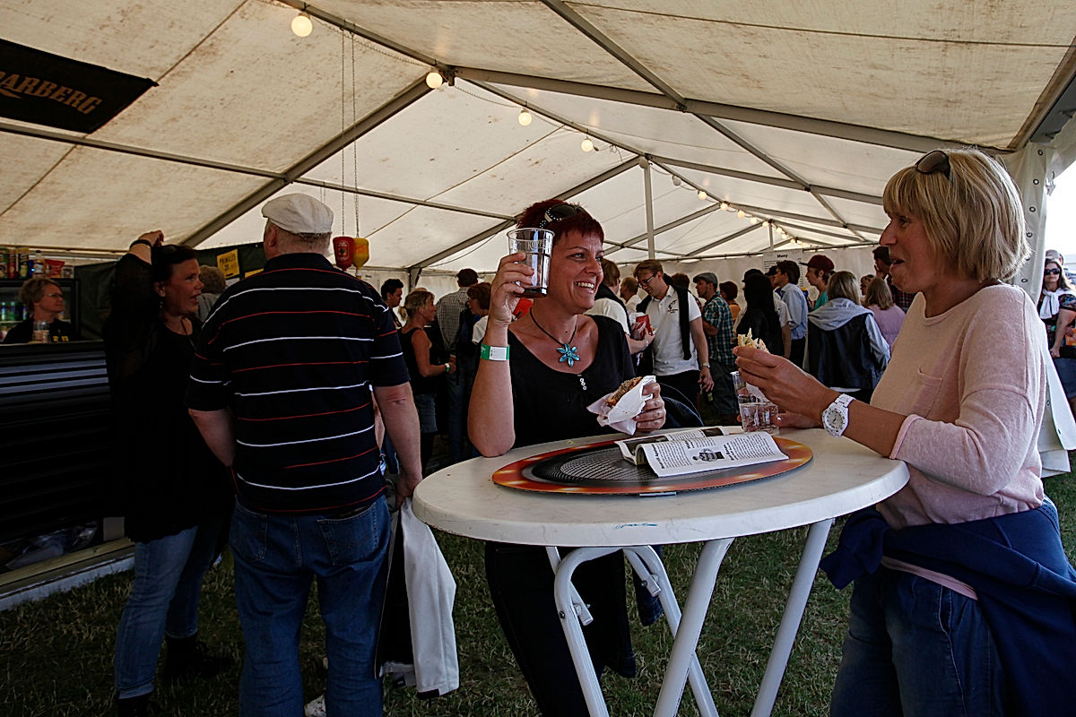 Publik - 2013 - SommarRock Svedala