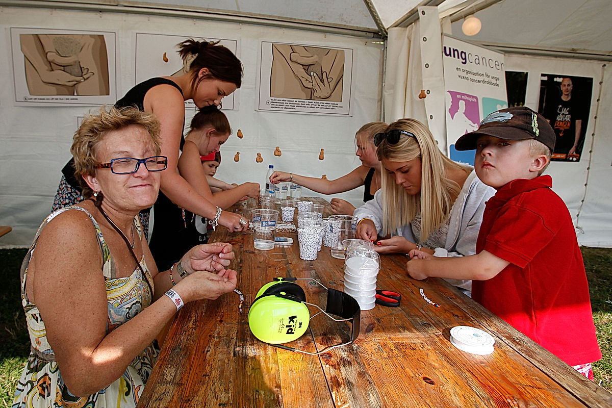 Publik - 2013 - SommarRock Svedala