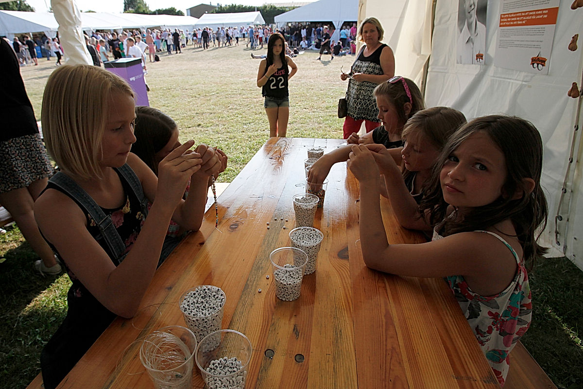 Publik - 2013 - SommarRock Svedala