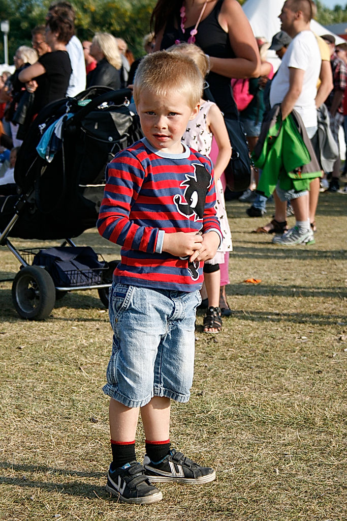 Publik - 2013 - SommarRock Svedala