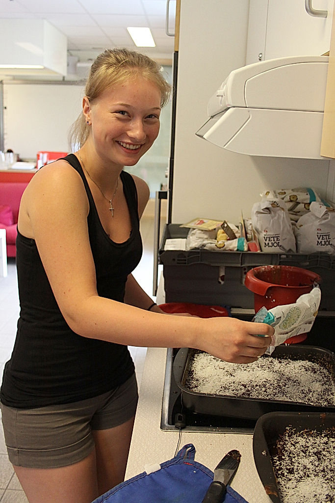 Funktionärer - 2014 - SommarRock Svedala