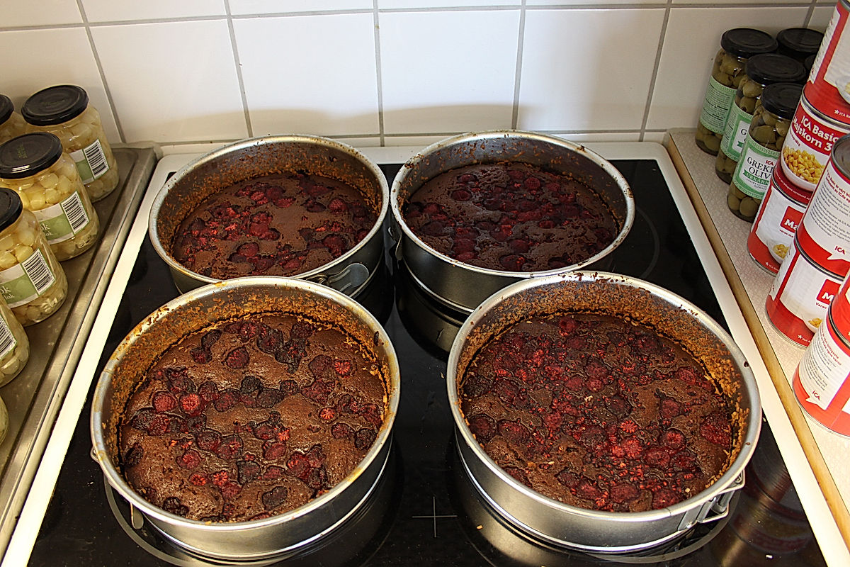 Funktionärer - 2014 - SommarRock Svedala