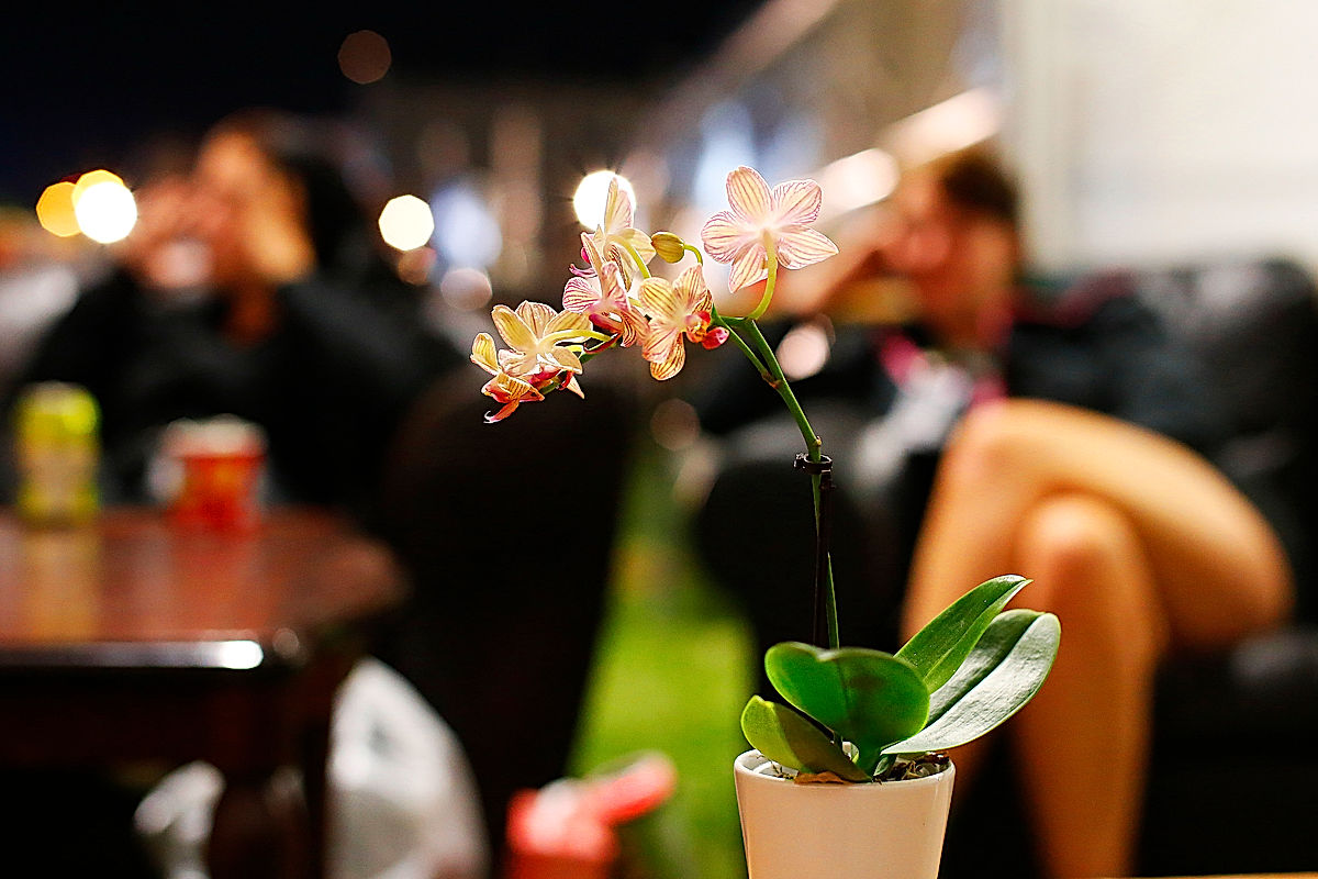 Funktionärer - 2014 - SommarRock Svedala