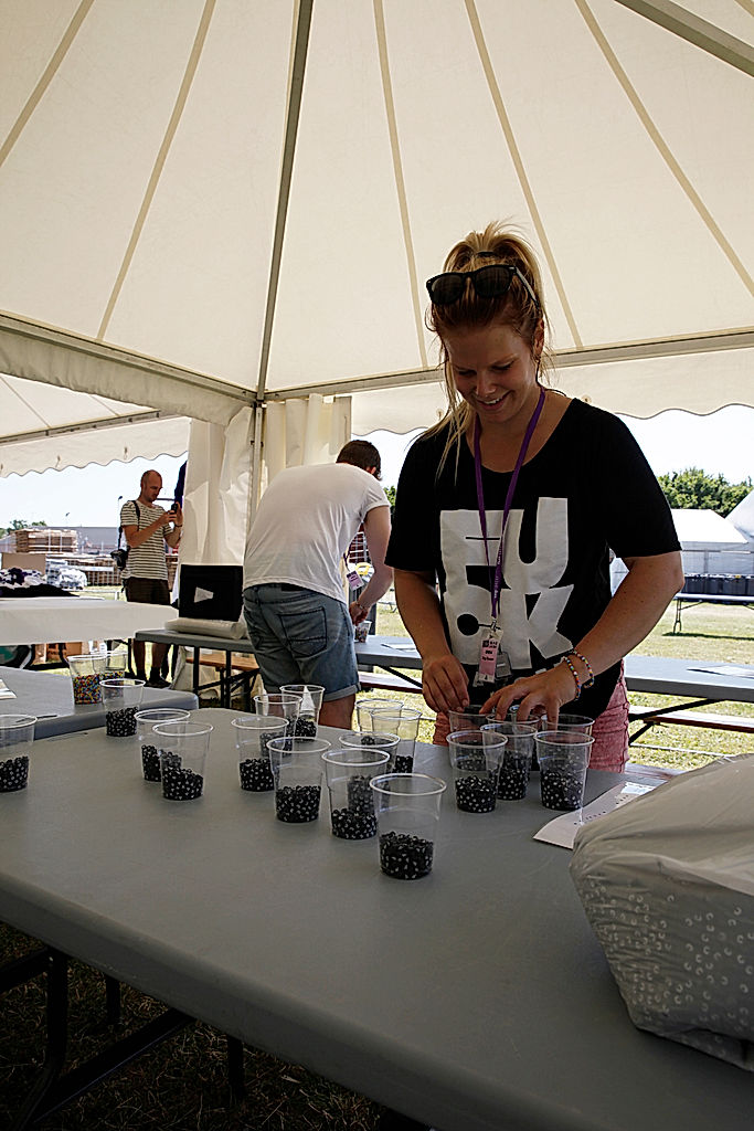 Funktionärer - 2014 - SommarRock Svedala