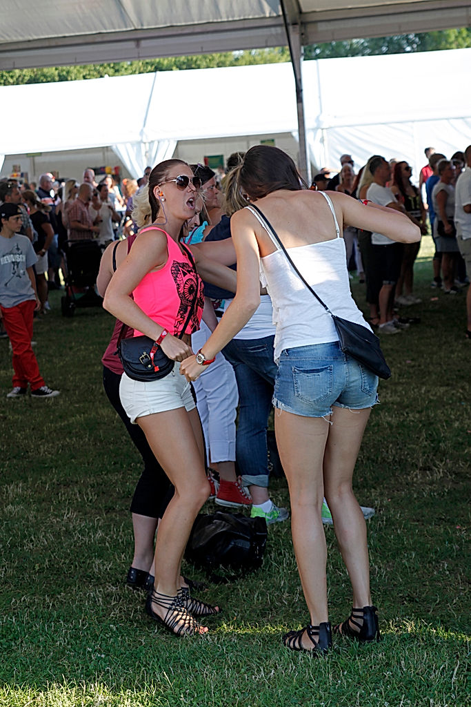 Publik - 2014 - SommarRock Svedala