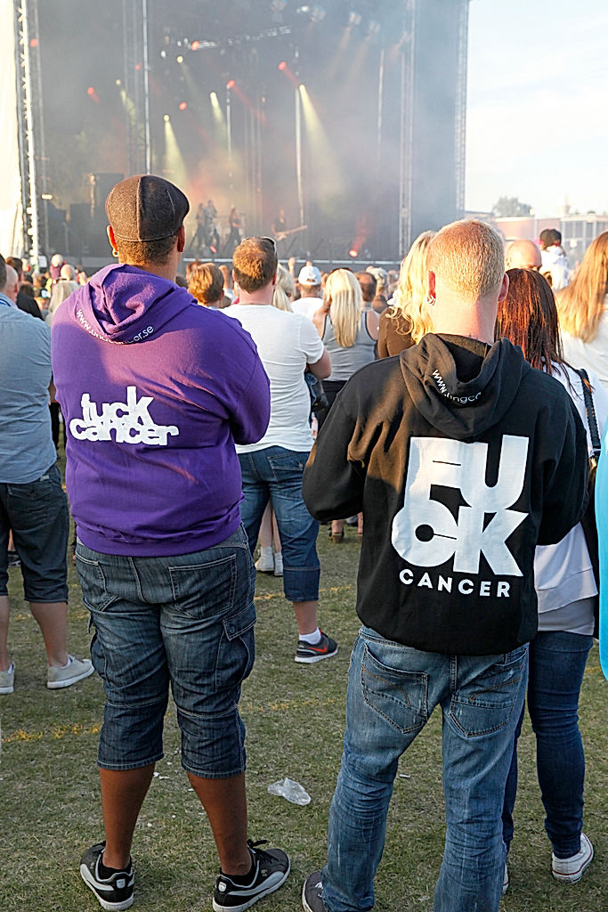 Publik - 2014 - SommarRock Svedala