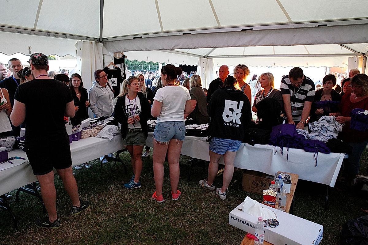 Publik - 2014 - SommarRock Svedala