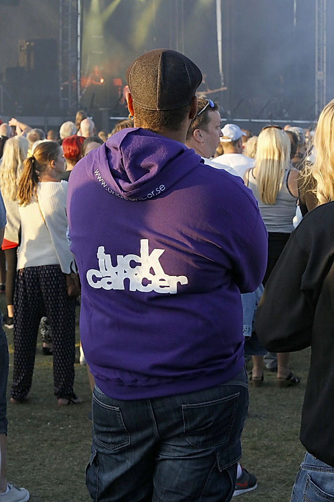 Fuck Cancer - 2014 - SommarRock Svedala