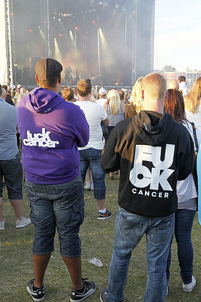 Fuck Cancer - 2014 - SommarRock Svedala