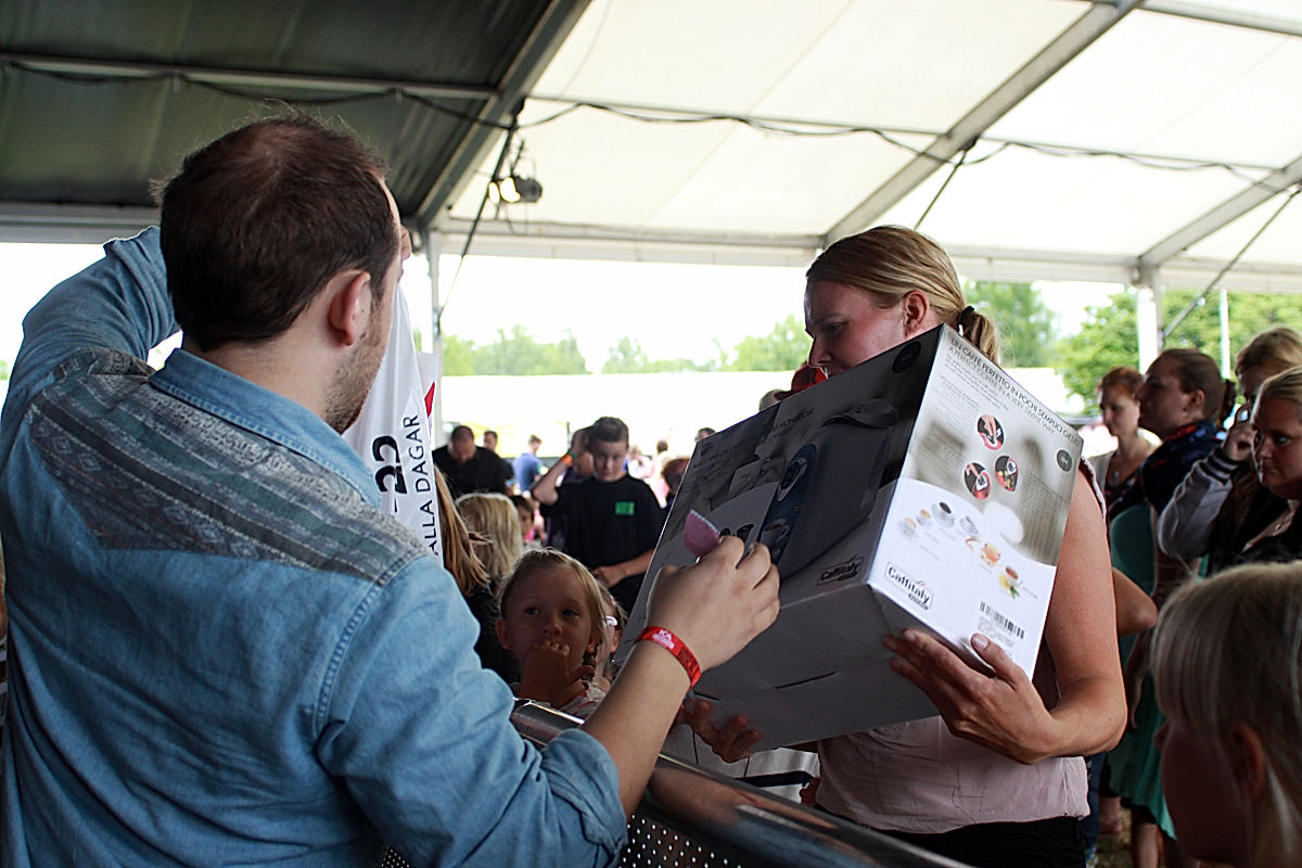 Publik - 2014 - SommarRock Svedala
