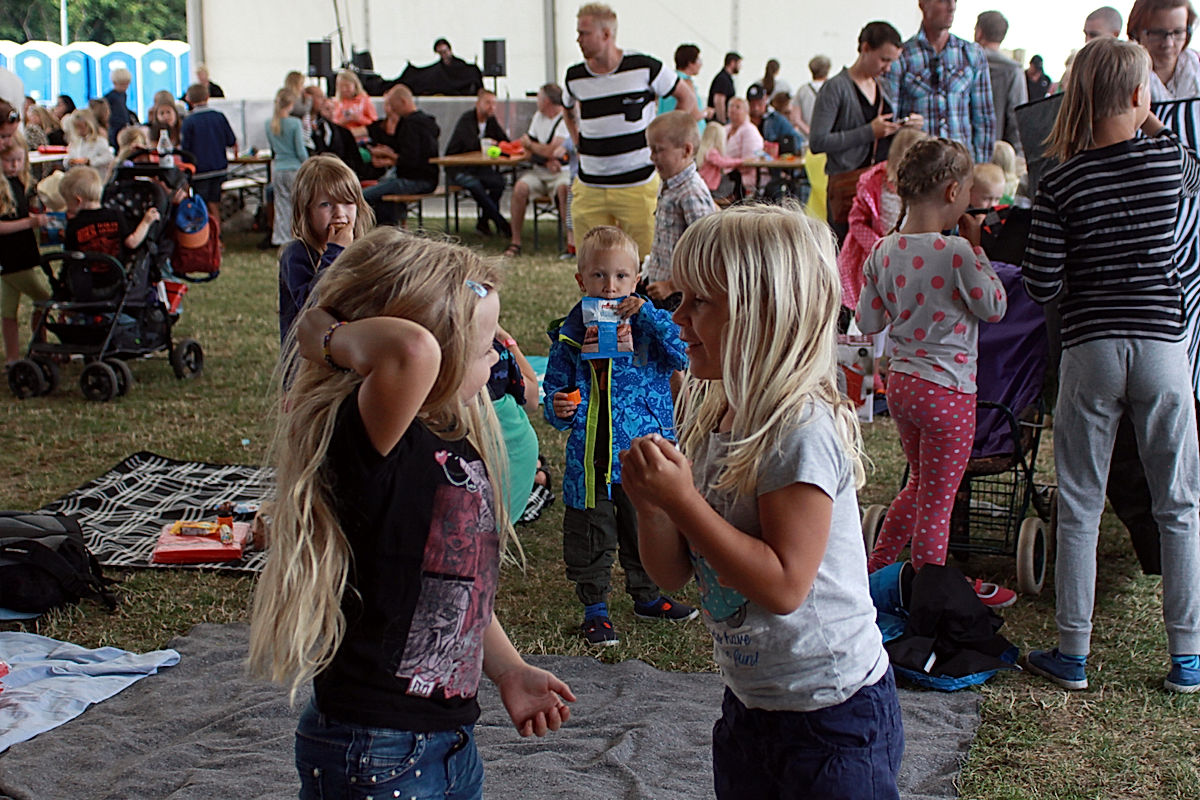 Publik - 2014 - SommarRock Svedala