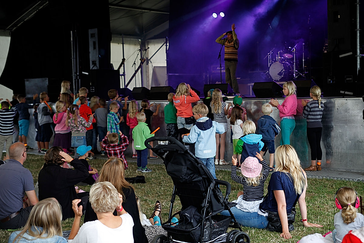 Publik - 2014 - SommarRock Svedala
