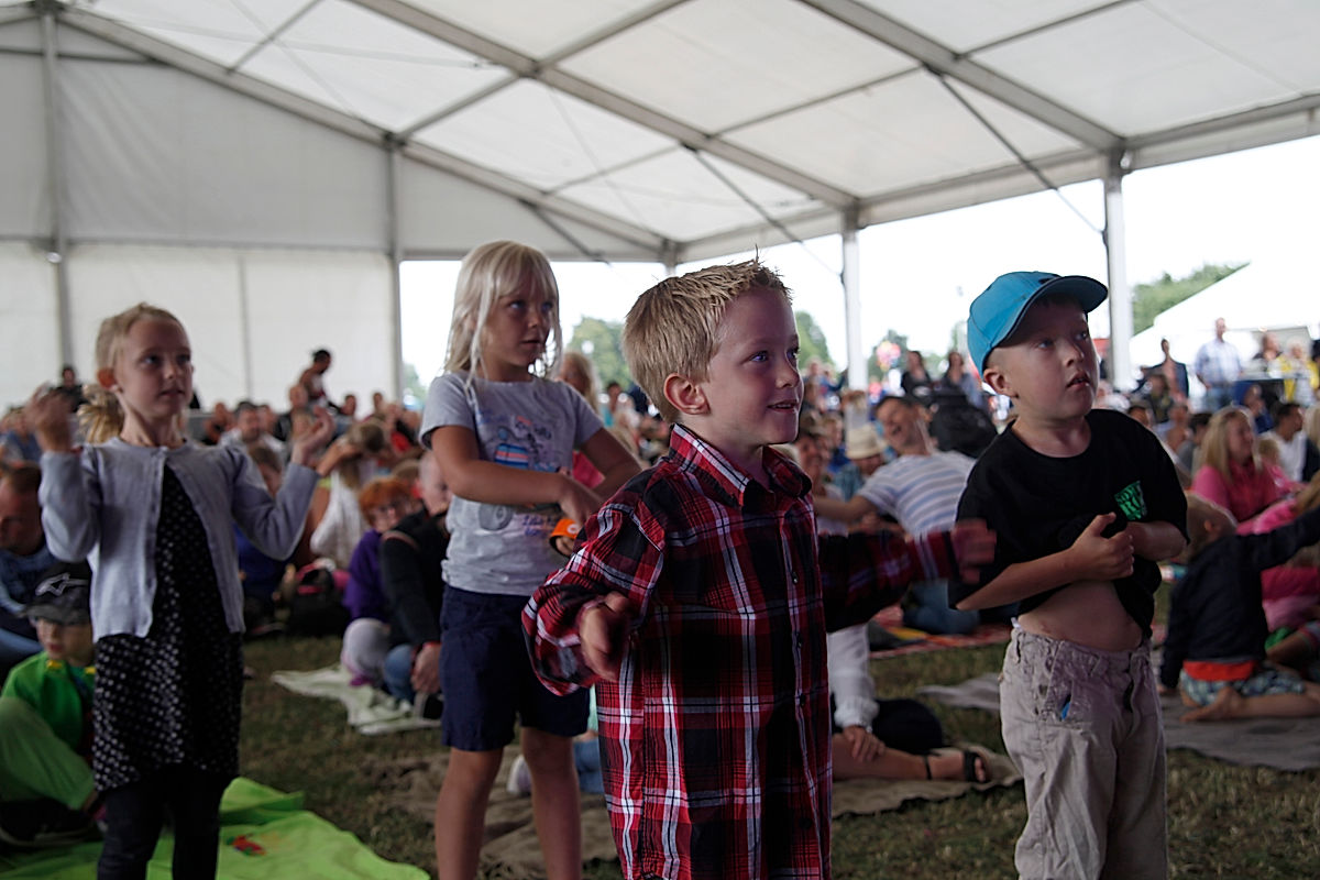 Publik - 2014 - SommarRock Svedala
