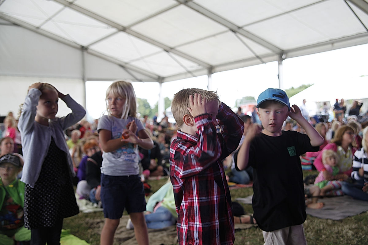 Publik - 2014 - SommarRock Svedala