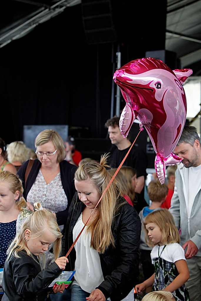 Publik - 2014 - SommarRock Svedala