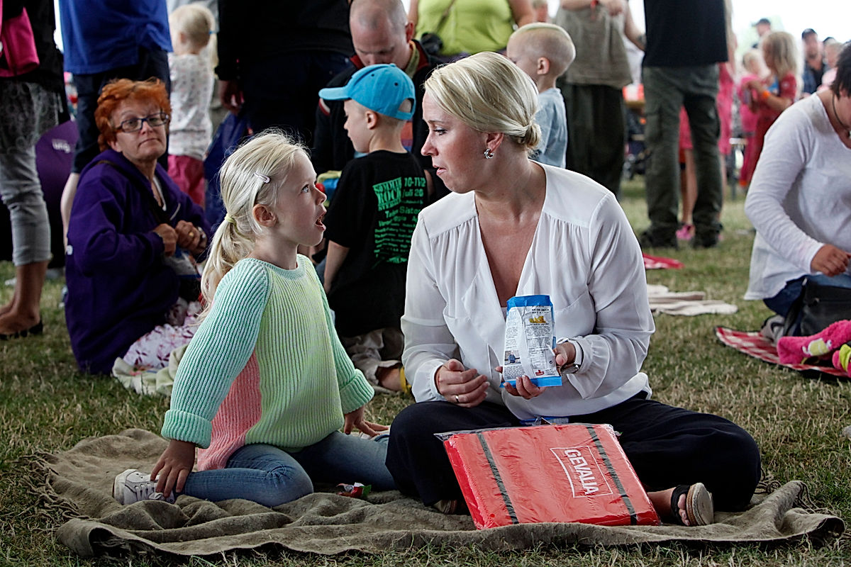 Publik - 2014 - SommarRock Svedala