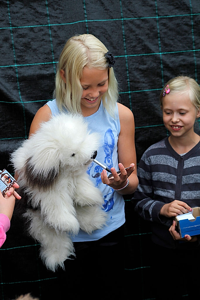 Publik - 2014 - SommarRock Svedala