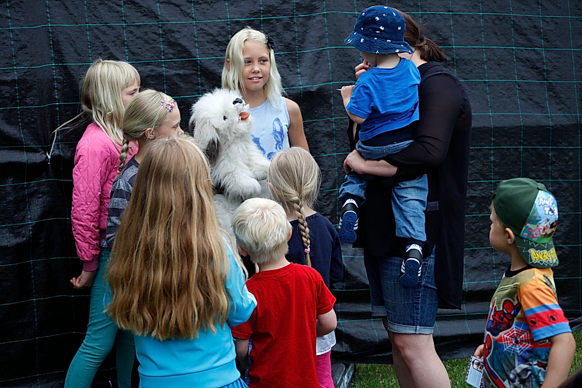 Publik - 2014 - SommarRock Svedala