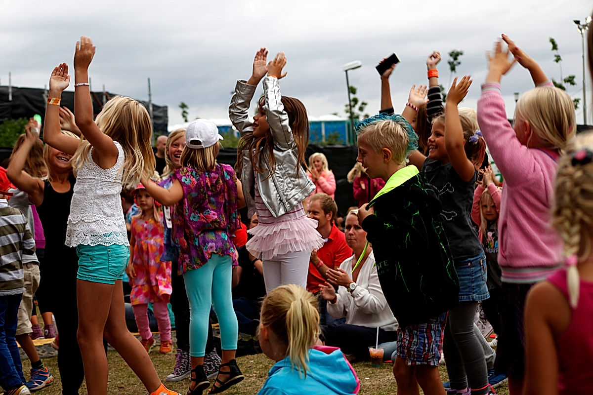 Publik - 2014 - SommarRock Svedala