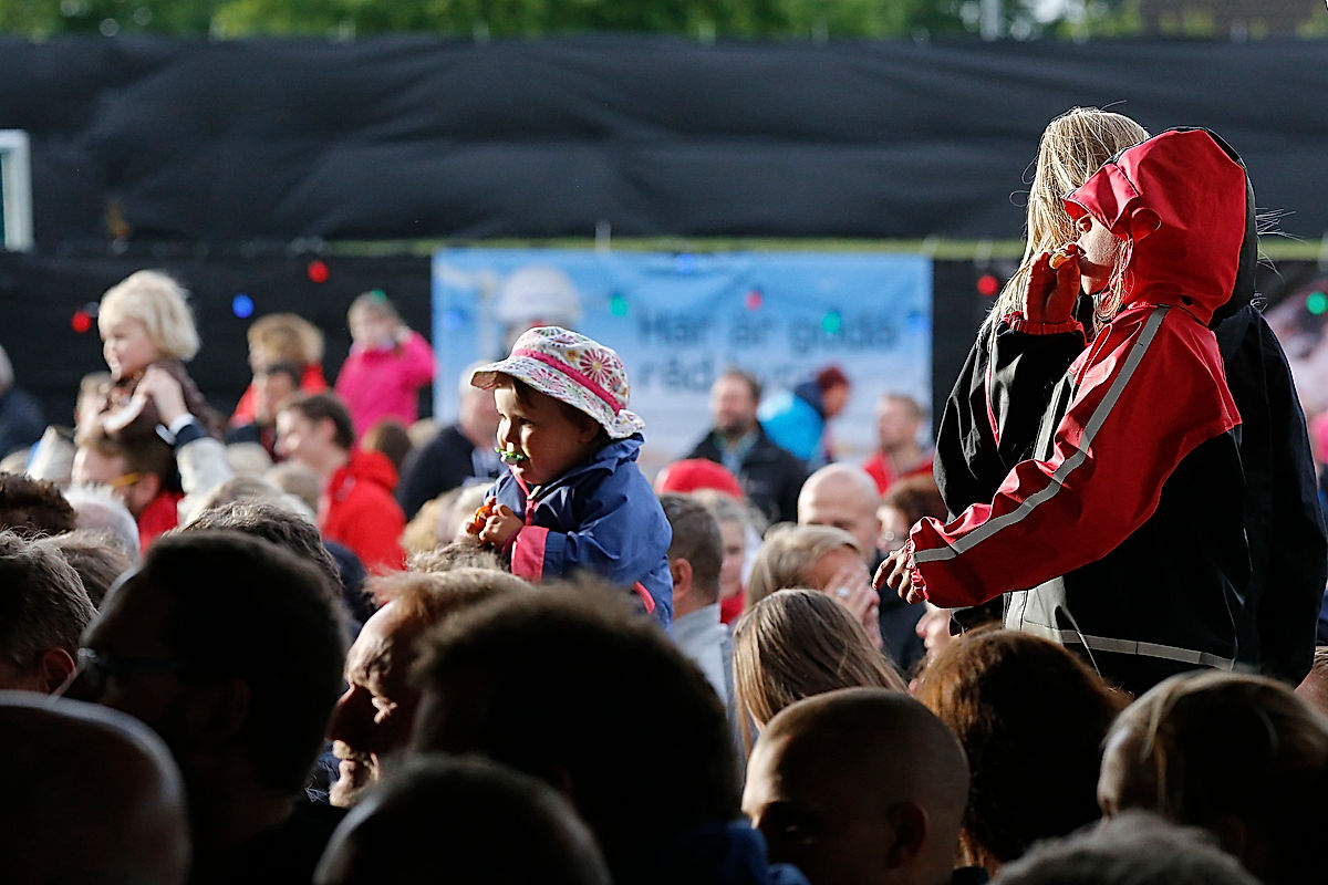 Hasse Andersson - 2015 - SommarRock Svedala