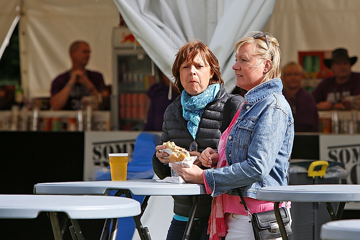 Publik - 2015 - SommarRock Svedala