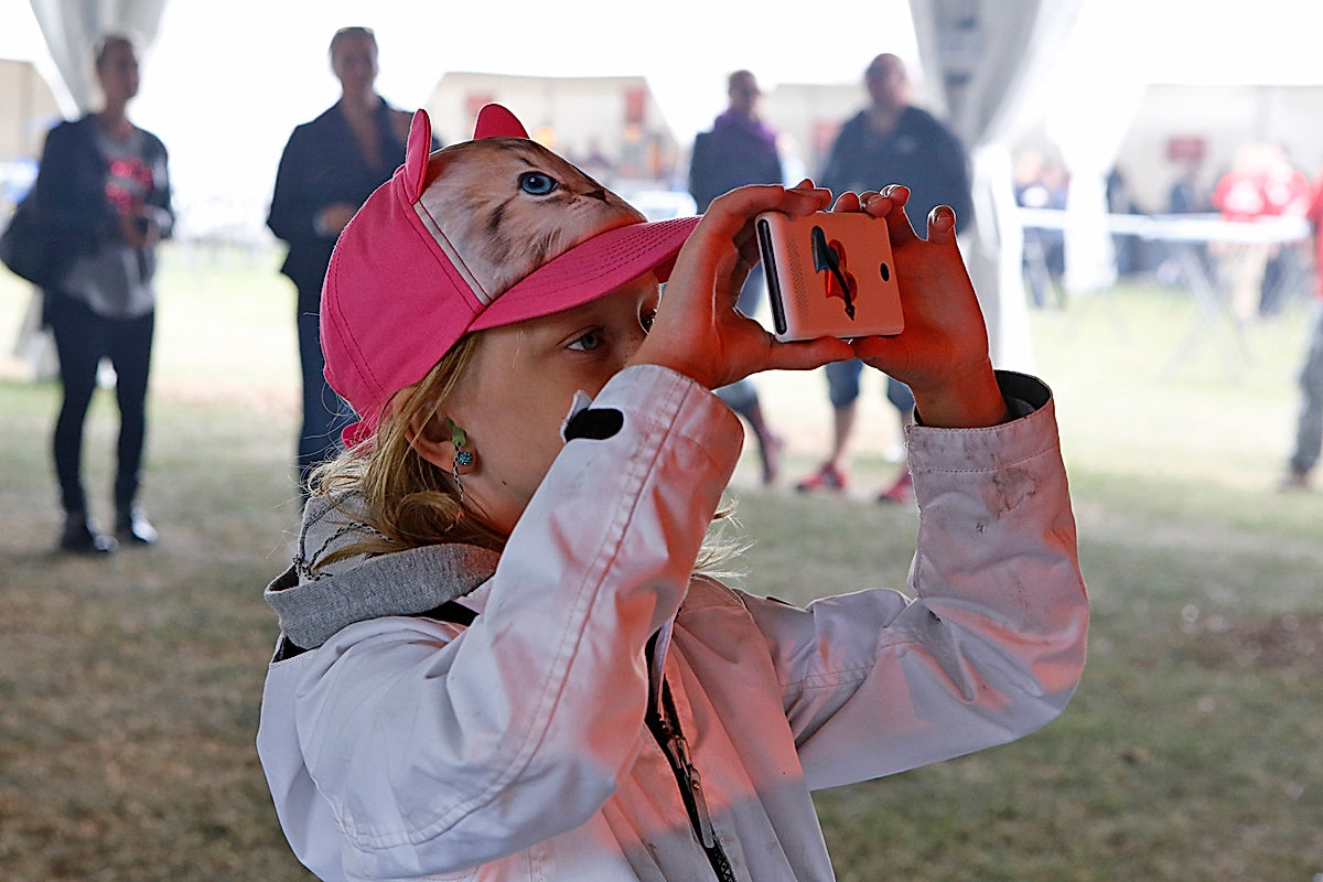 Publik - 2015 - SommarRock Svedala