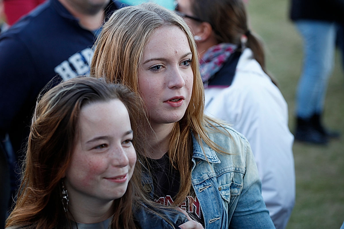 Publik - 2015 - SommarRock Svedala