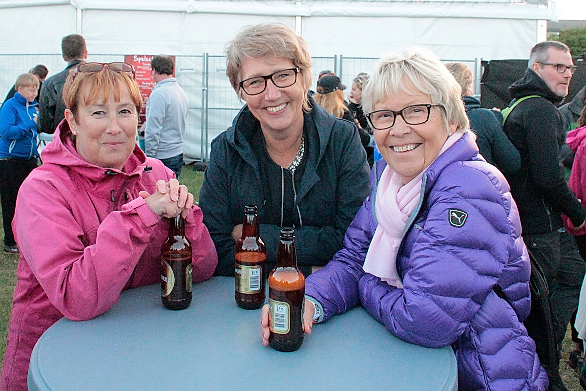 Publik - 2015 - SommarRock Svedala