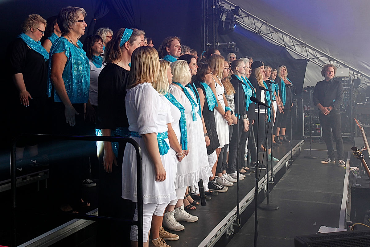 Oscar Zia - 2015 - SommarRock Svedala