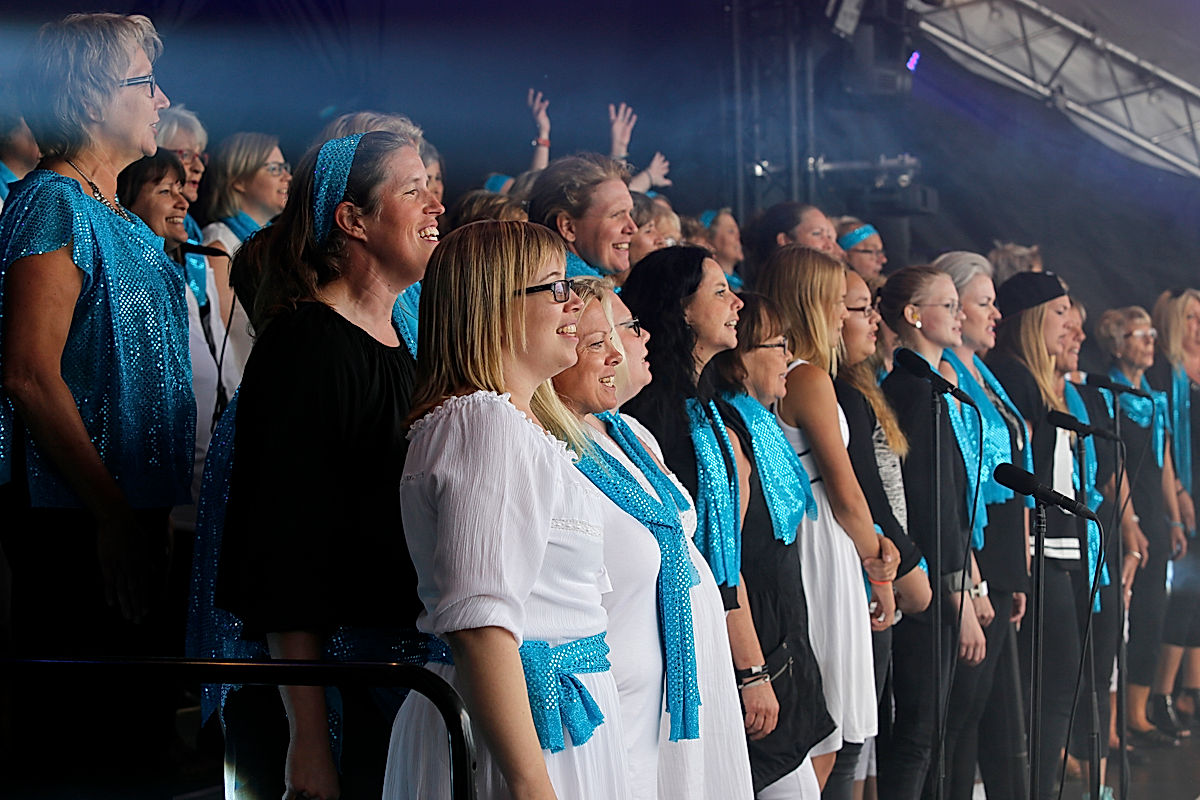 Oscar Zia - 2015 - SommarRock Svedala