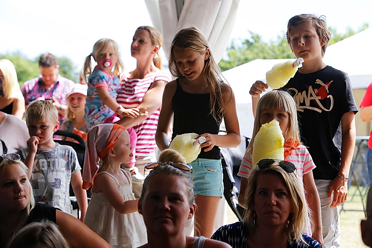 Drill & Drull - 2015 - SommarRock Svedala