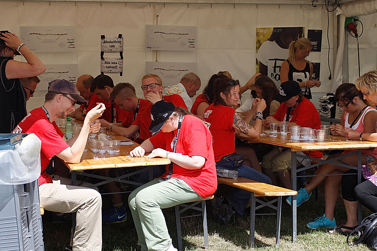 Funktionärer - 2015 - SommarRock Svedala