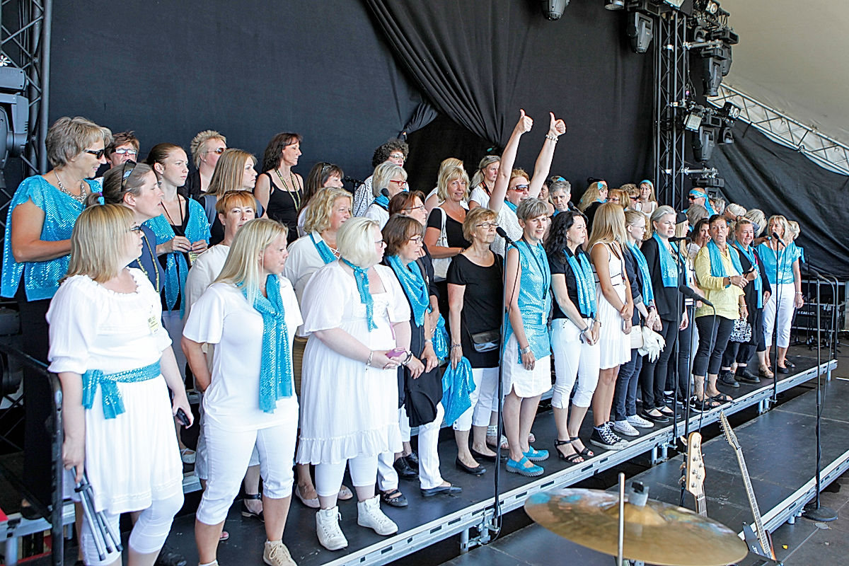 Publik - 2015 - SommarRock Svedala