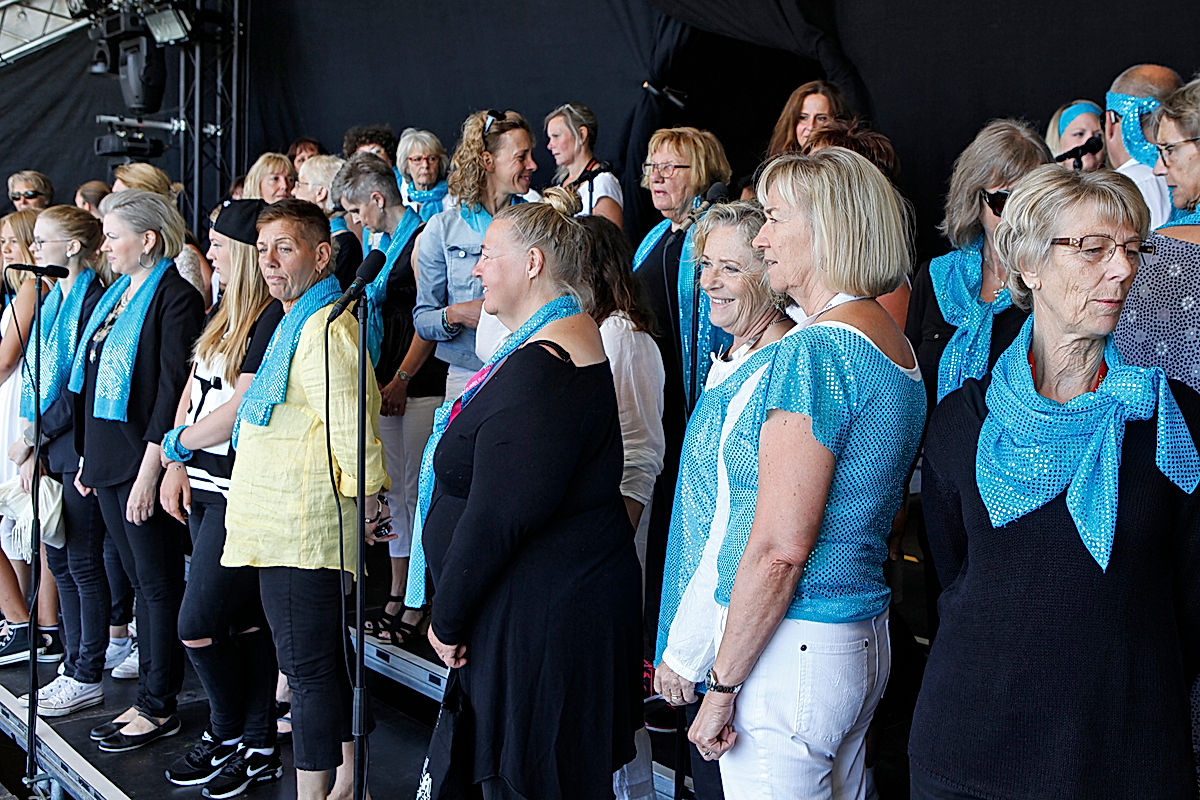 Publik - 2015 - SommarRock Svedala