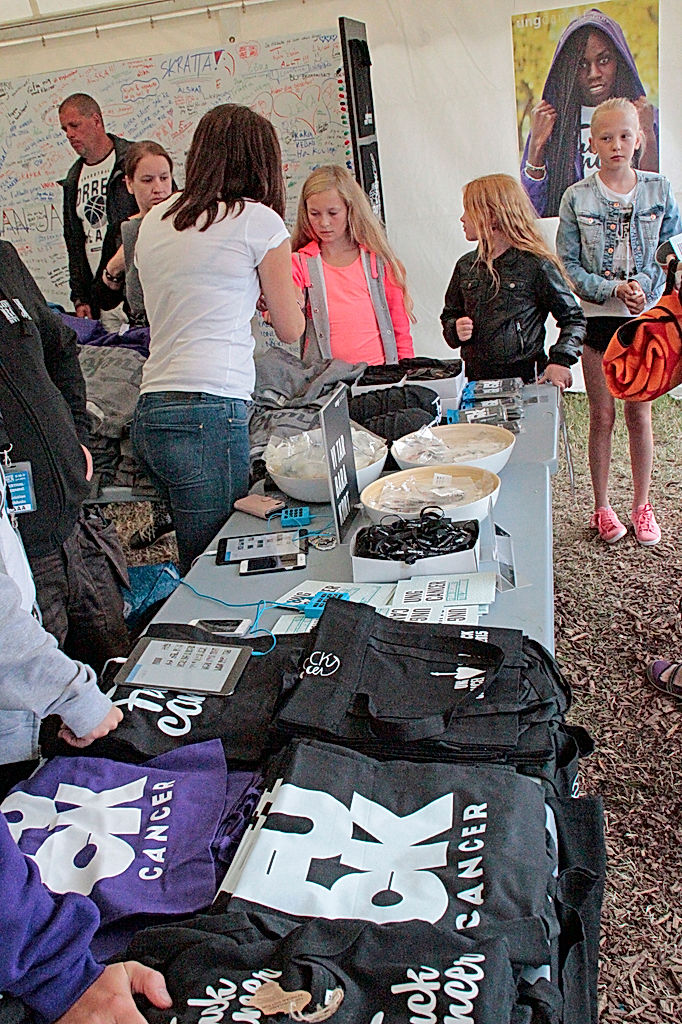 Publik - 2015 - SommarRock Svedala