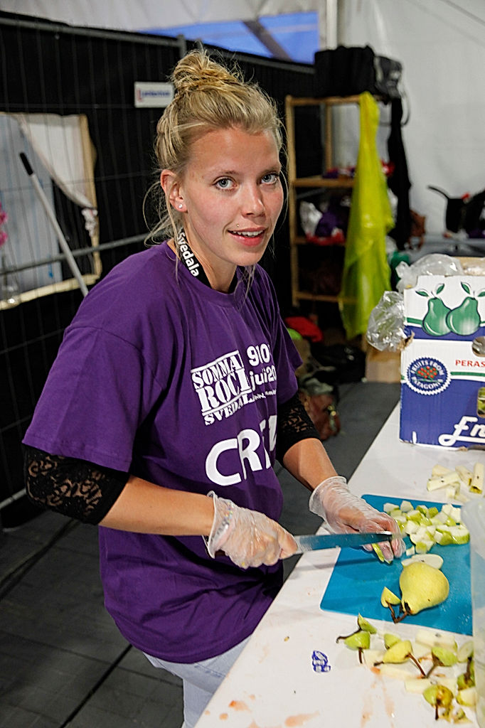 Publik - 2015 - SommarRock Svedala