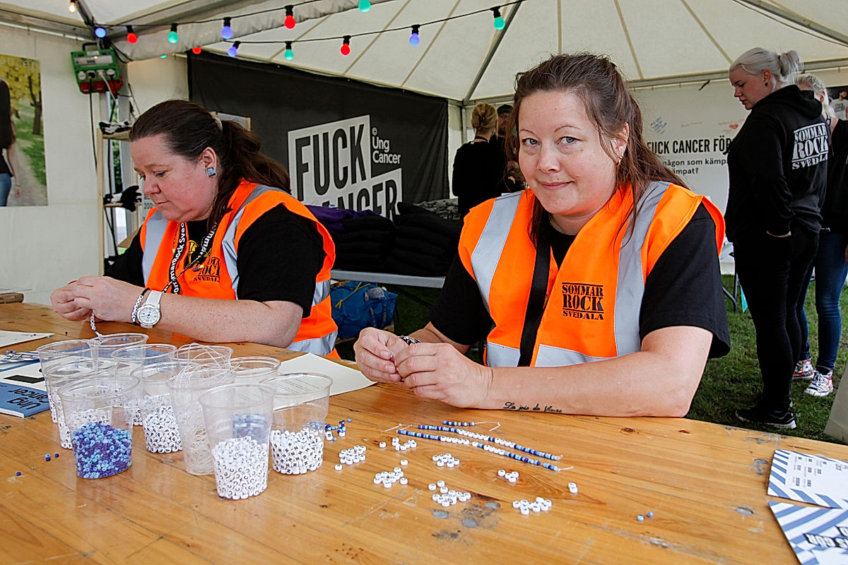 Publik - 2016 - SommarRock Svedala