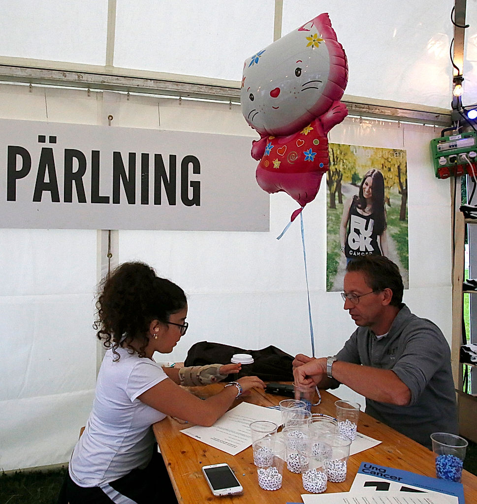 Publik - 2016 - SommarRock Svedala