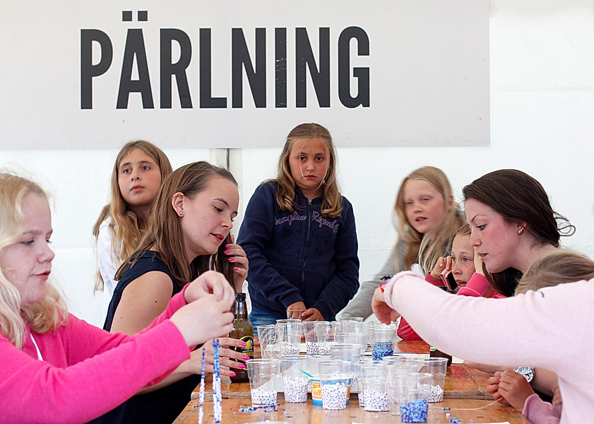 Publik - 2016 - SommarRock Svedala