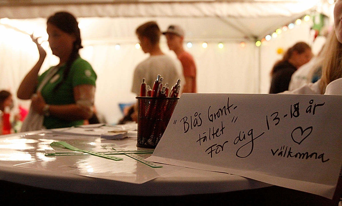 Publik - 2016 - SommarRock Svedala