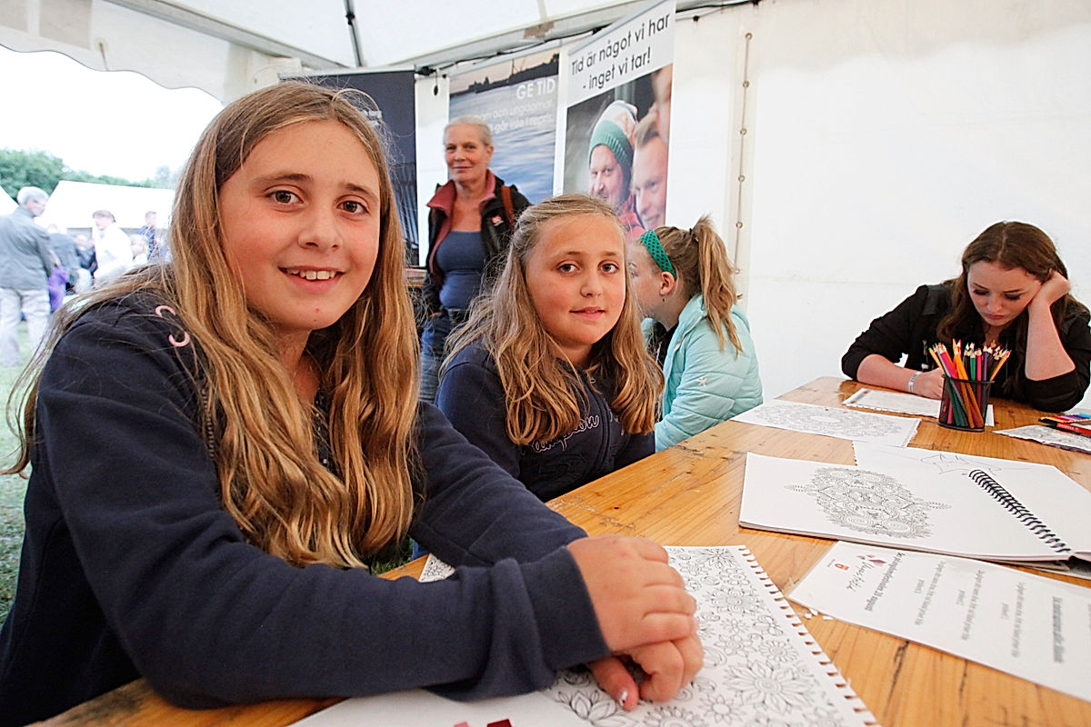 Publik - 2016 - SommarRock Svedala