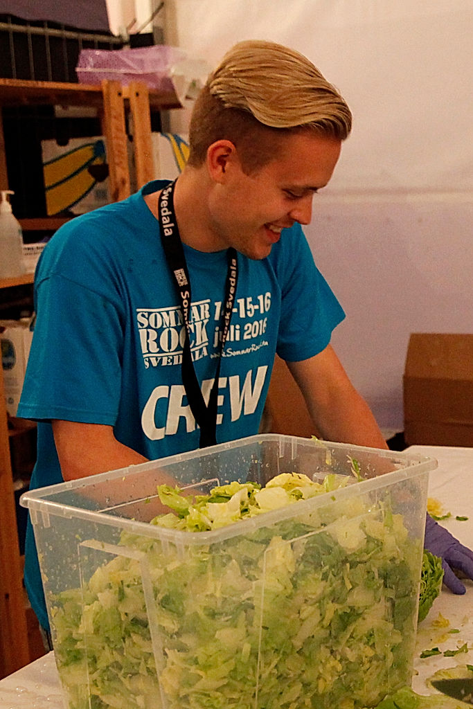 Publik - 2016 - SommarRock Svedala