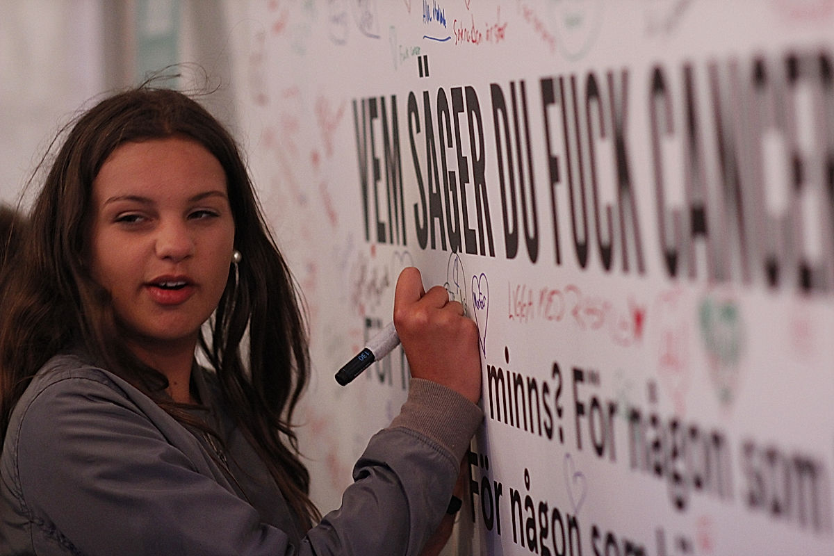 Publik - 2016 - SommarRock Svedala