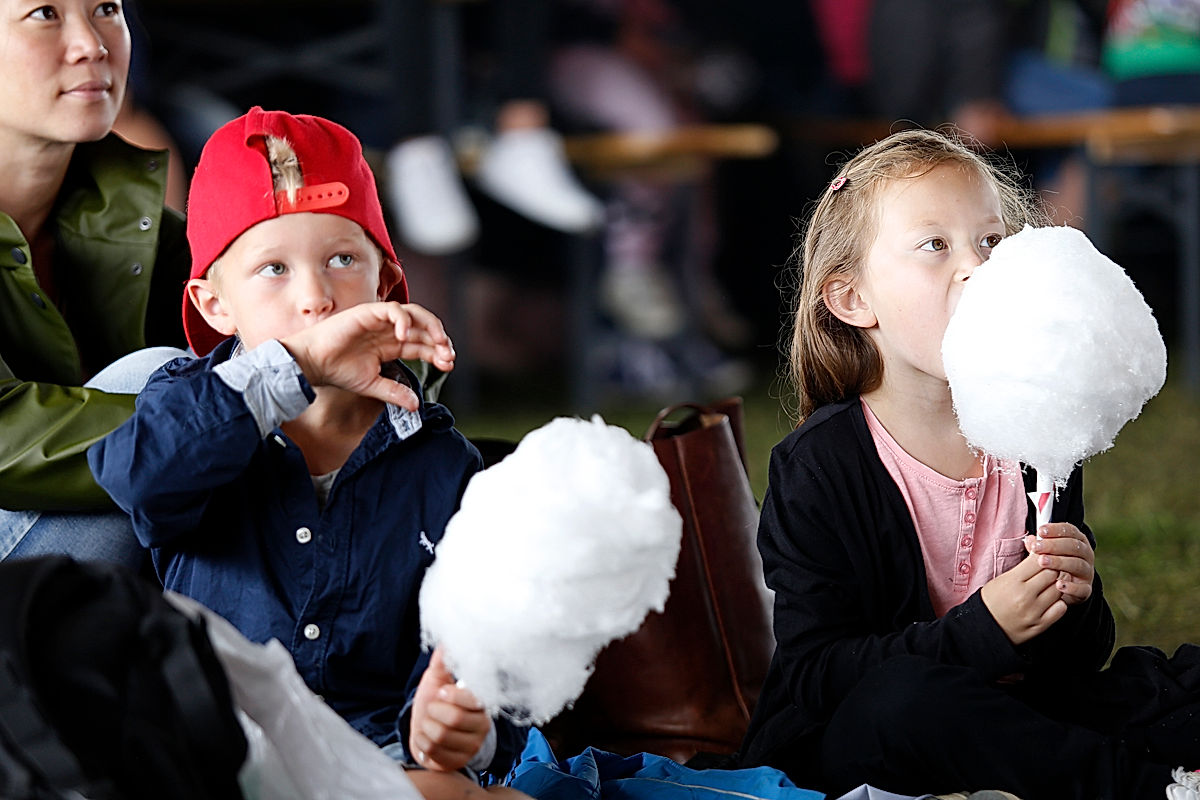 Publik - 2016 - SommarRock Svedala