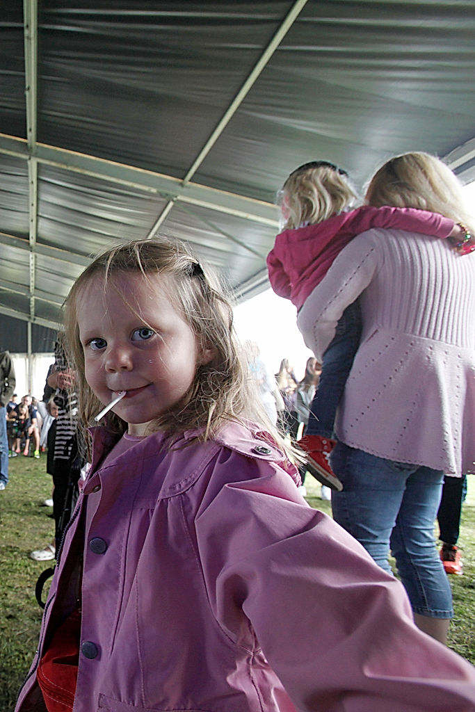 Publik - 2016 - SommarRock Svedala
