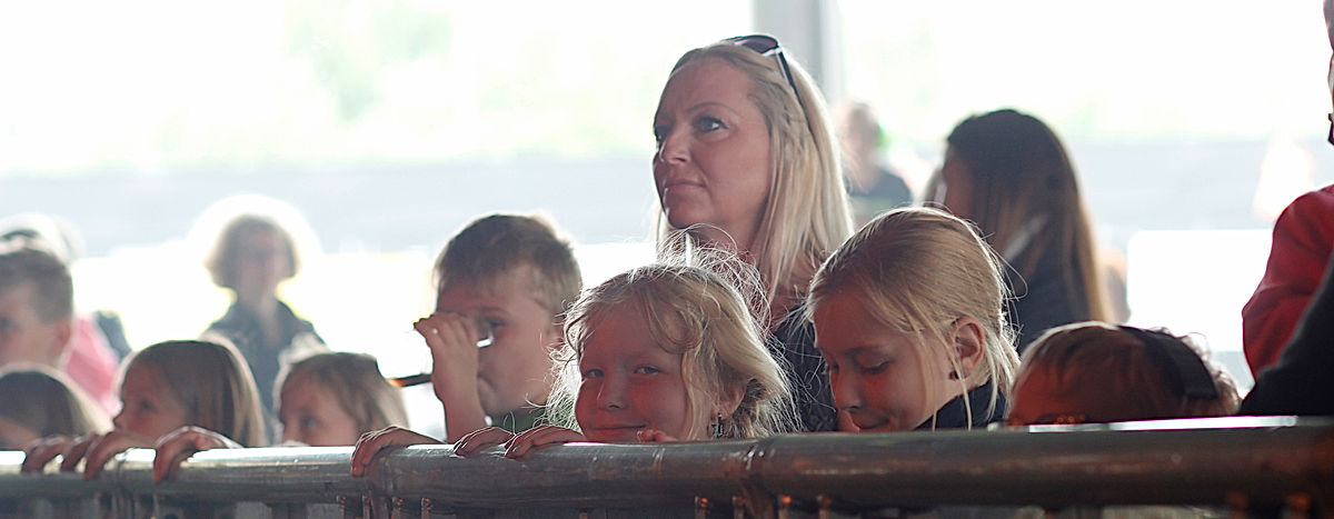 Publik - 2016 - SommarRock Svedala