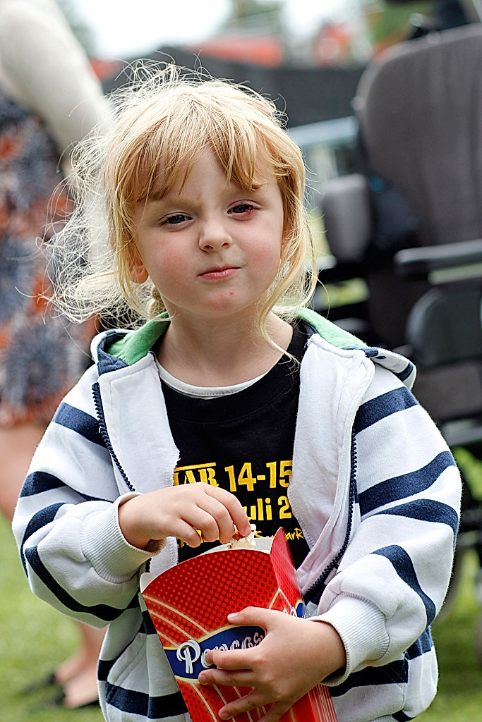 Publik - 2016 - SommarRock Svedala
