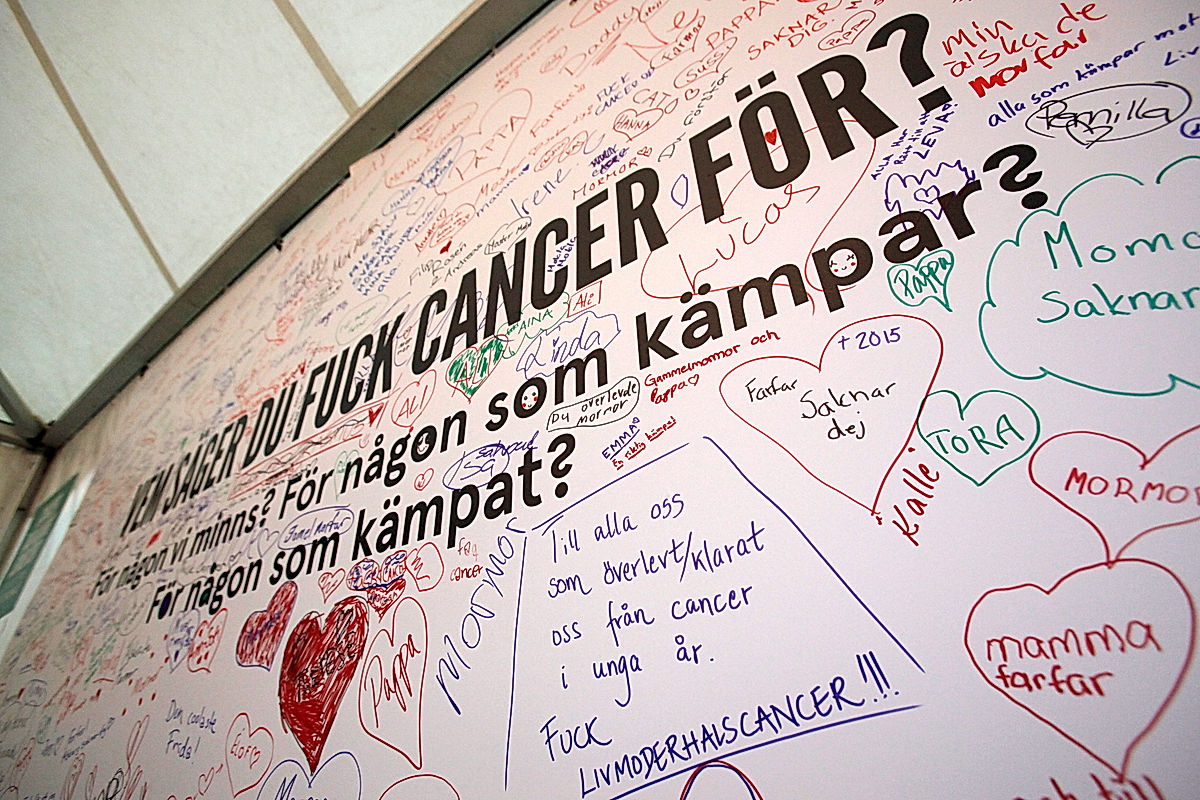 Publik - 2016 - SommarRock Svedala